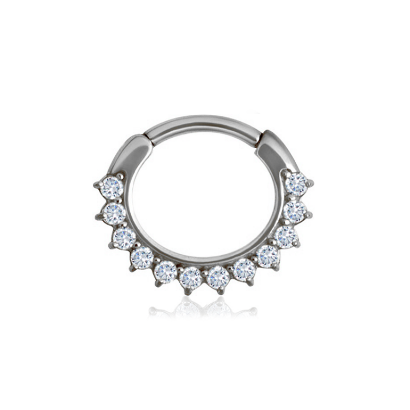 Chirurgenstahl 316L – Ovaler Segmentring Clicker mit zwölf eingefassten Zirkonia