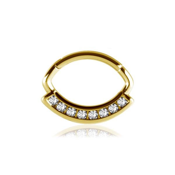 Chirurgenstahl 316L – Ovaler Segmentring Clicker mit eingefassten Premium-Zirkonia & PVD-Beschichtung