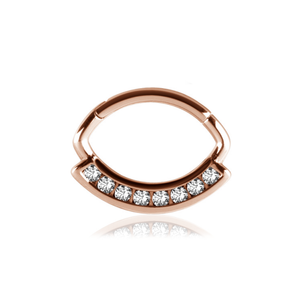 Chirurgenstahl 316L – Ovaler Segmentring Clicker mit eingefassten Premium-Zirkonia & PVD-Beschichtung