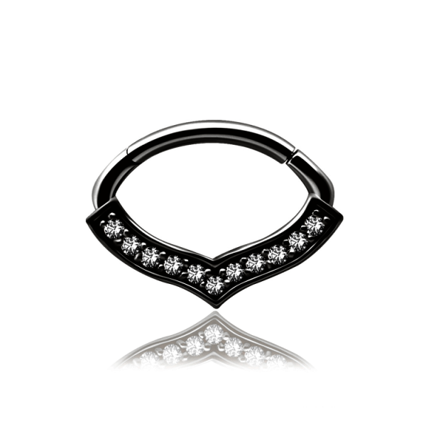 Chirurgenstahl 316L – Ovaler Segmentring Clicker mit eingefassten Premium-Zirkonia & PVD-Beschichtung