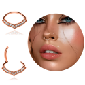Chirurgenstahl 316L – Ovaler Segmentring Clicker mit eingefassten Premium-Zirkonia & PVD-Beschichtung
