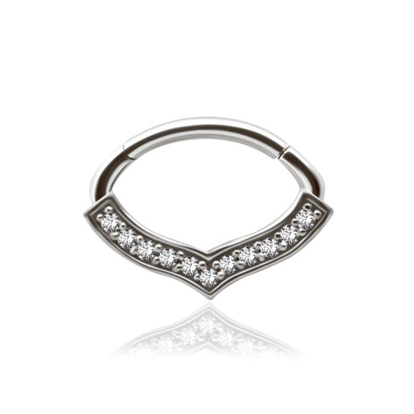 Chirurgenstahl 316L – Ovaler Segmentring Clicker mit eingefassten Premium-Zirkonia