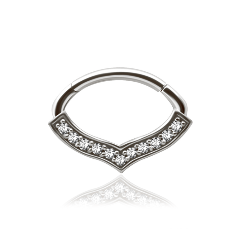 Chirurgenstahl 316L – Ovaler Segmentring Clicker mit eingefassten Premium-Zirkonia