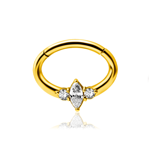 Chirurgenstahl 316L – Ovaler Segmentring Clicker mit eingefassten Premium-Zirkonia & PVD-Beschichtung