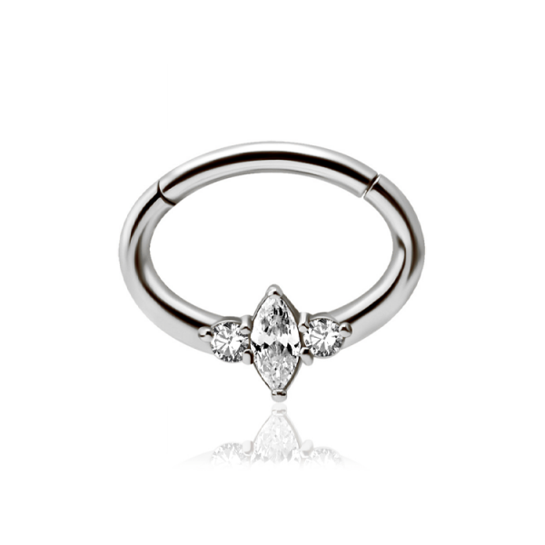 Chirurgenstahl 316L – Ovaler Segmentring Clicker mit eingefassten Premium-Zirkonia