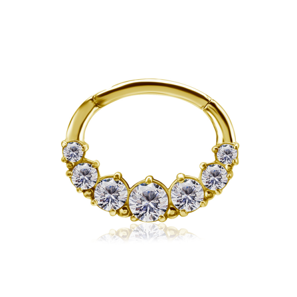 CoCr NF – Ovaler Segmentring Clicker mit eingefassten Premium-Zirkonia & PVD-Beschichtung