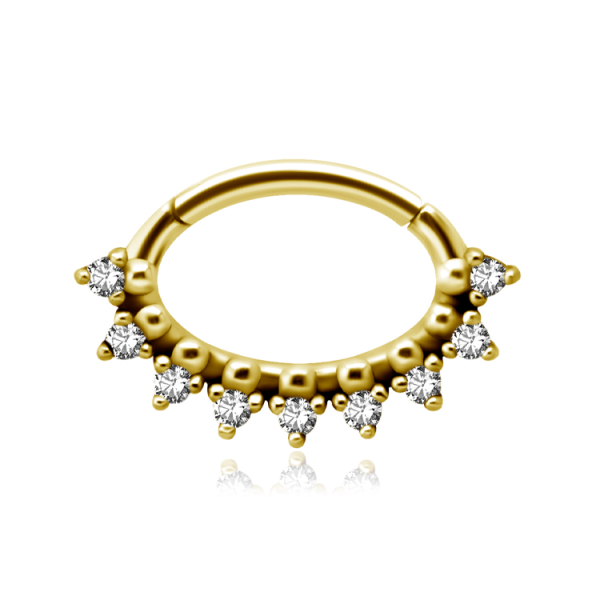 Chirurgenstahl 316L – Ovaler Segmentring Clicker mit eingefassten Zirkonia & PVD-Beschichtung