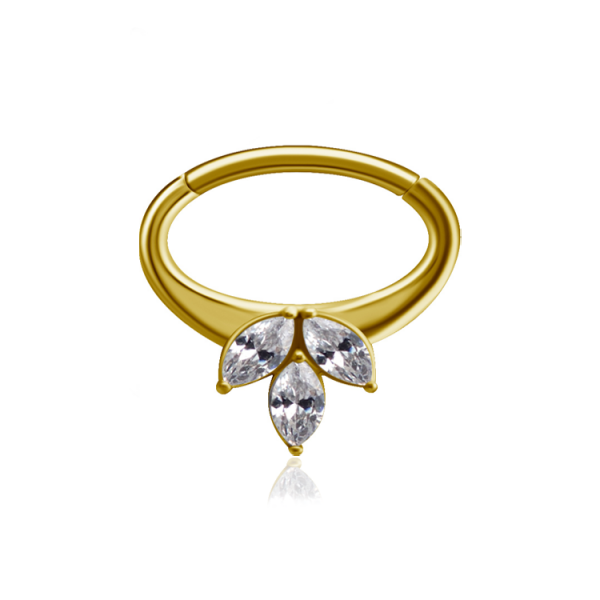 Chirurgenstahl 316L – Ovaler Segmentring Clicker mit eingefassten Zirkonia & PVD-Beschichtung