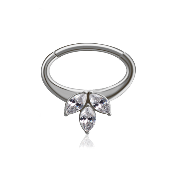 Chirurgenstahl 316L – Ovaler Segmentring Clicker mit eingefassten Zirkonia