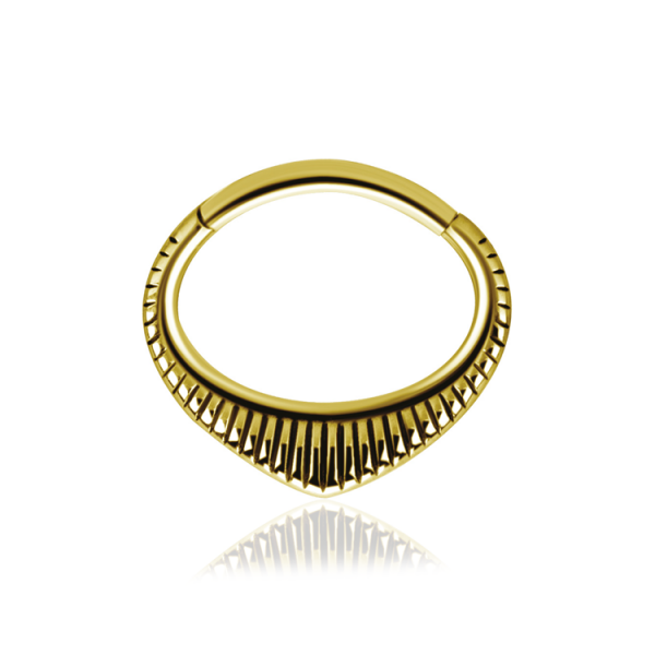 Chirurgenstahl 316L – Ovaler Segmentring Clicker Design mit PVD- Beschichtung