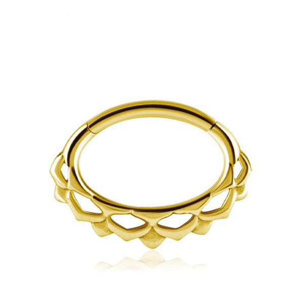 Chirurgenstahl 316L – Ovaler Segmentring Clicker Design mit PVD-Beschichtung