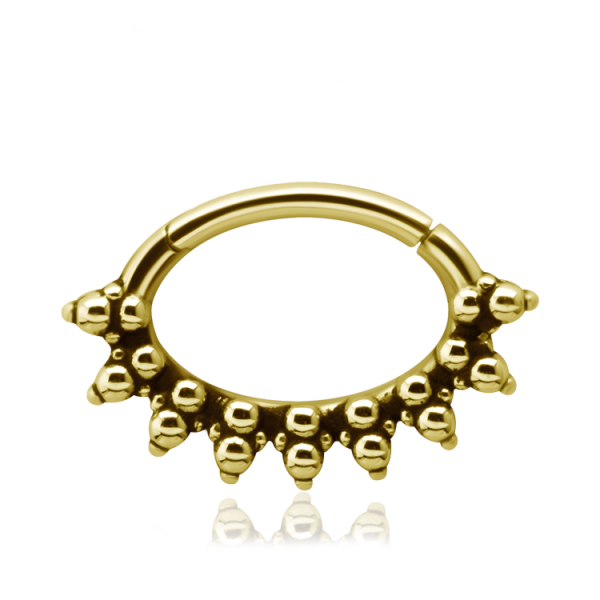 Chirurgenstahl 316L – Ovaler Segmentring Clicker Design mit PVD- Beschichtung