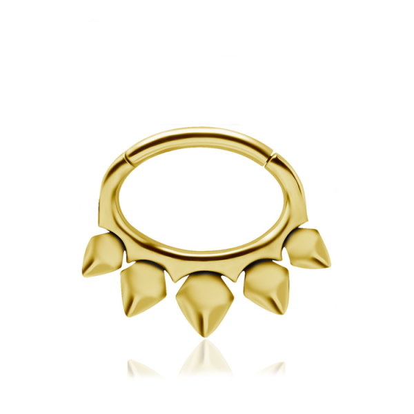 Chirurgenstahl 316L – Ovaler Segmentring Clicker Design mit PVD - Beschichtung