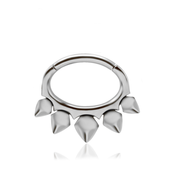 Chirurgenstahl 316L – Ovaler Segmentring Clicker Design