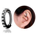 Chirurgenstahl 316L – Rook Segmentring Clicker oval mit eingefassten Premium-Zirkonia & PVD-Beschichtung 