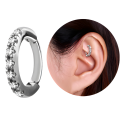 Chirurgenstahl 316L – Rook Segmentring Clicker oval mit eingefassten Premium-Zirkonia