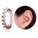 Chirurgenstahl 316L – Rook Segmentring Clicker oval mit eingefassten Premium-Zirkonia & PVD-Beschichtung 