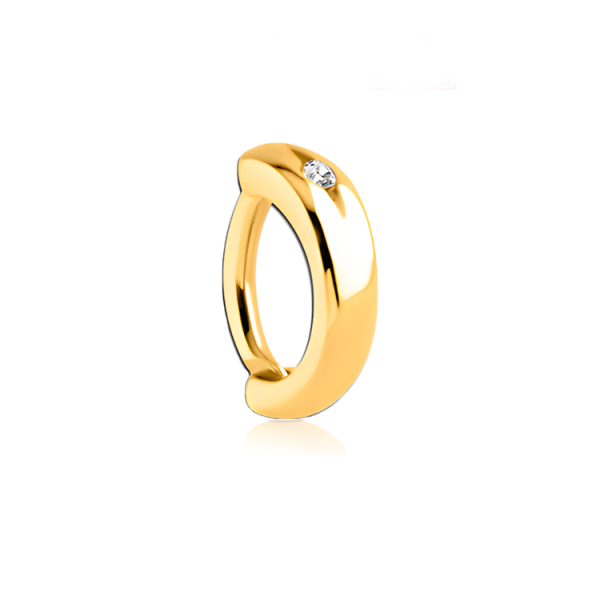 Chirurgenstahl 316L – Rook Segmentring Clicker oval mit eingefassten Premium-Zirkonia & PVD-Beschichtung 