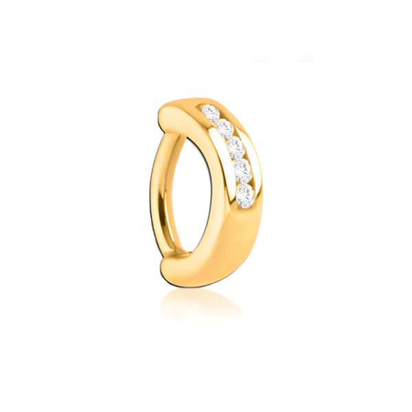 Chirurgenstahl 316L – Rook Segmentring Clicker oval mit eingefassten Premium-Zirkonia & PVD-Beschichtung 