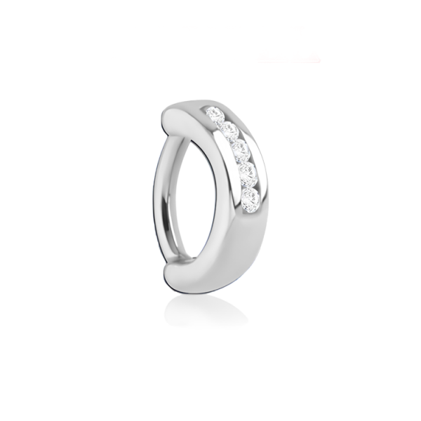 Chirurgenstahl 316L – Rook Segmentring Clicker oval mit eingefassten Premium-Zirkonia