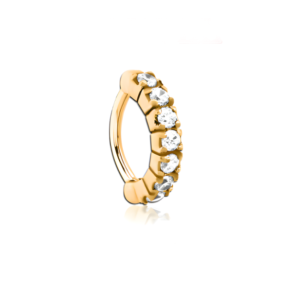 Chirurgenstahl 316L – Rook Segmentring Clicker oval mit eingefassten Premium-Zirkonia & PVD-Beschichtung 