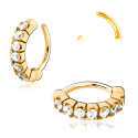 Chirurgenstahl 316L – Rook Segmentring Clicker oval mit eingefassten Premium-Zirkonia & PVD-Beschichtung 