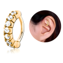 Chirurgenstahl 316L – Rook Segmentring Clicker oval mit eingefassten Premium-Zirkonia & PVD-Beschichtung 