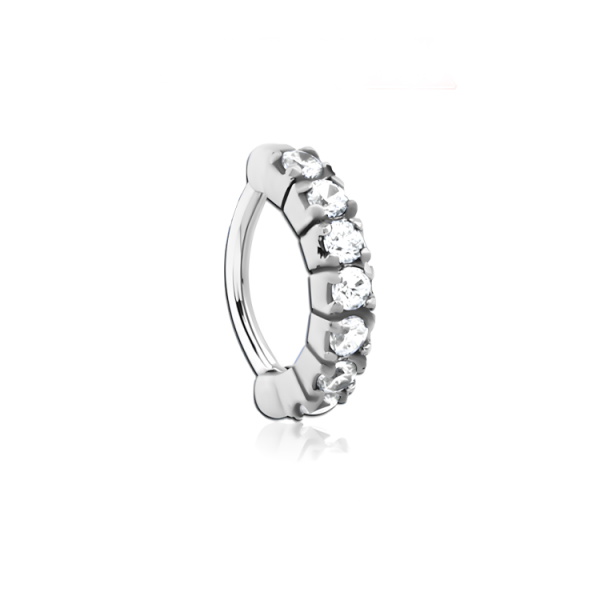 Chirurgenstahl 316L – Rook Segmentring Clicker oval mit eingefassten Premium-Zirkonia