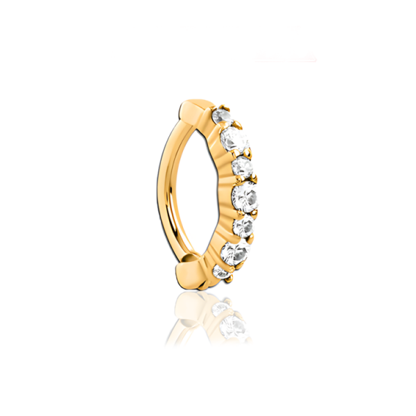 Chirurgenstahl 316L – Rook Segmentring Clicker oval mit eingefassten Zirkonia & PVD-Beschichtung 