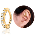 Chirurgenstahl 316L – Rook Segmentring Clicker oval mit eingefassten Zirkonia & PVD-Beschichtung 