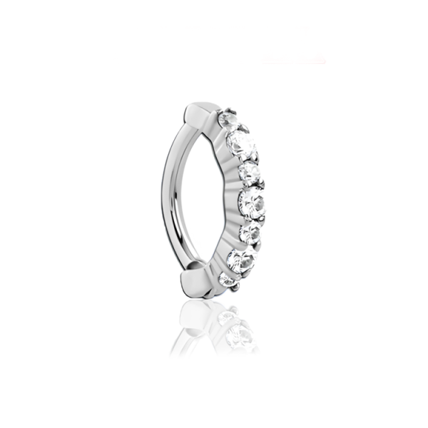 Chirurgenstahl 316L – Rook Segmentring Clicker oval mit eingefassten Zirkonia