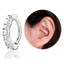 Chirurgenstahl 316L – Rook Segmentring Clicker oval mit eingefassten Zirkonia