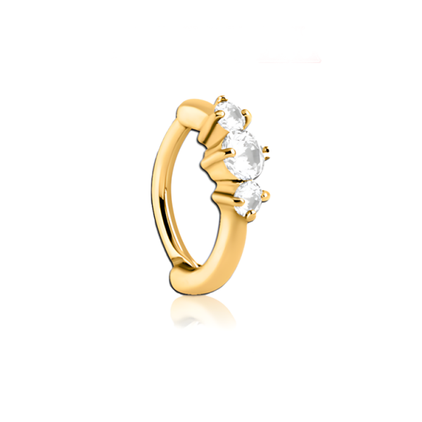 Chirurgenstahl 316L – Rook Segmentring Clicker oval mit eingefassten Zirkonia & PVD-Beschichtung 