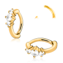 Chirurgenstahl 316L – Rook Segmentring Clicker oval mit eingefassten Zirkonia & PVD-Beschichtung 