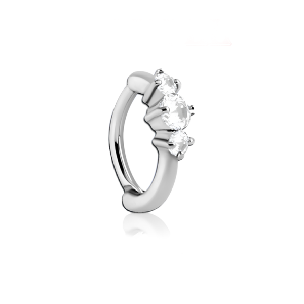 Chirurgenstahl 316L – Rook Segmentring Clicker oval mit eingefassten Zirkonia