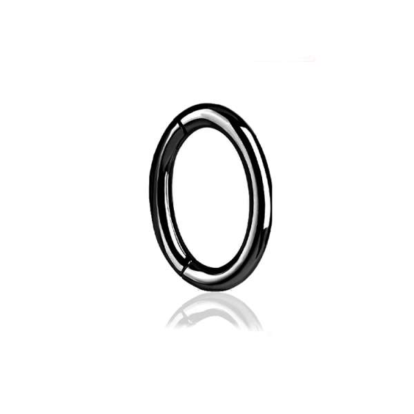  Chirurgenstahl 316L – Rook Segmentring Clicker mit rundem Profil & PVD-Beschichtung 