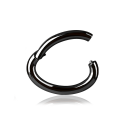  Chirurgenstahl 316L – Rook Segmentring Clicker mit rundem Profil & PVD-Beschichtung 