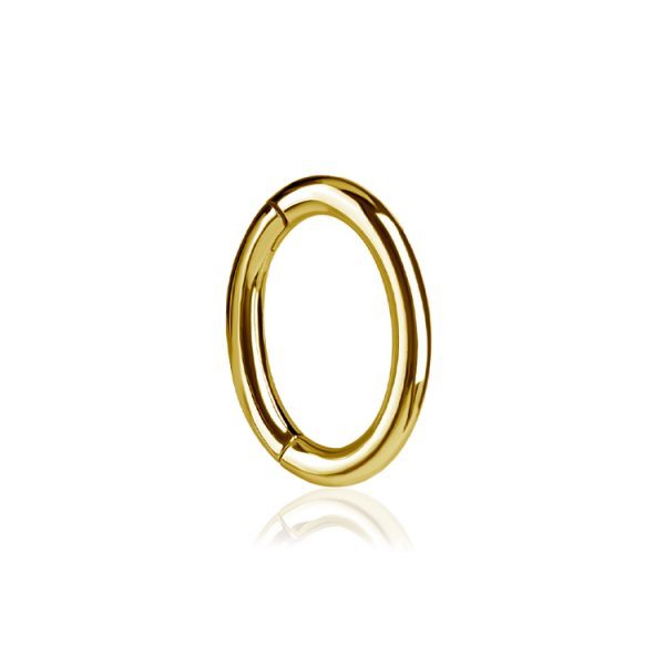  Chirurgenstahl 316L – Rook Segmentring Clicker mit rundem Profil & PVD-Beschichtung 