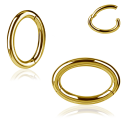  Chirurgenstahl 316L – Rook Segmentring Clicker mit rundem Profil & PVD-Beschichtung 