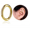  Chirurgenstahl 316L – Rook Segmentring Clicker mit rundem Profil & PVD-Beschichtung 