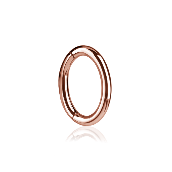  Chirurgenstahl 316L – Rook Segmentring Clicker mit rundem Profil & PVD-Beschichtung 