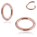  Chirurgenstahl 316L – Rook Segmentring Clicker mit rundem Profil & PVD-Beschichtung 