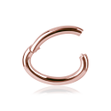  Chirurgenstahl 316L – Rook Segmentring Clicker mit rundem Profil & PVD-Beschichtung 