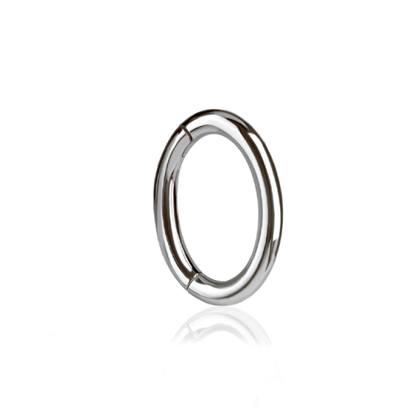  Chirurgenstahl 316L – Rook Segmentring Clicker mit rundem Profil