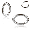 Chirurgenstahl 316L – Rook Segmentring Clicker mit rundem Profil