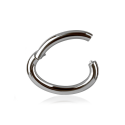  Chirurgenstahl 316L – Rook Segmentring Clicker mit rundem Profil