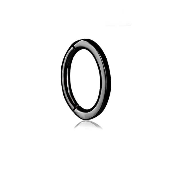  Chirurgenstahl 316L – Rook Segmentring Clicker mit rundem Profil & PVD-Beschichtung 