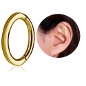 Chirurgenstahl 316L – Rook Segmentring Clicker mit rundem Profil & PVD-Beschichtung 