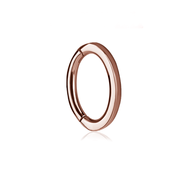  Chirurgenstahl 316L – Rook Segmentring Clicker mit rundem Profil & PVD-Beschichtung 