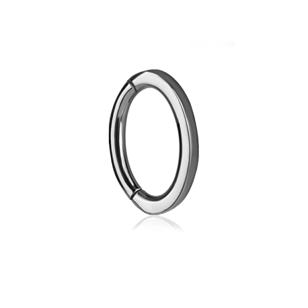  Chirurgenstahl 316L – Rook Segmentring Clicker mit rundem Profil